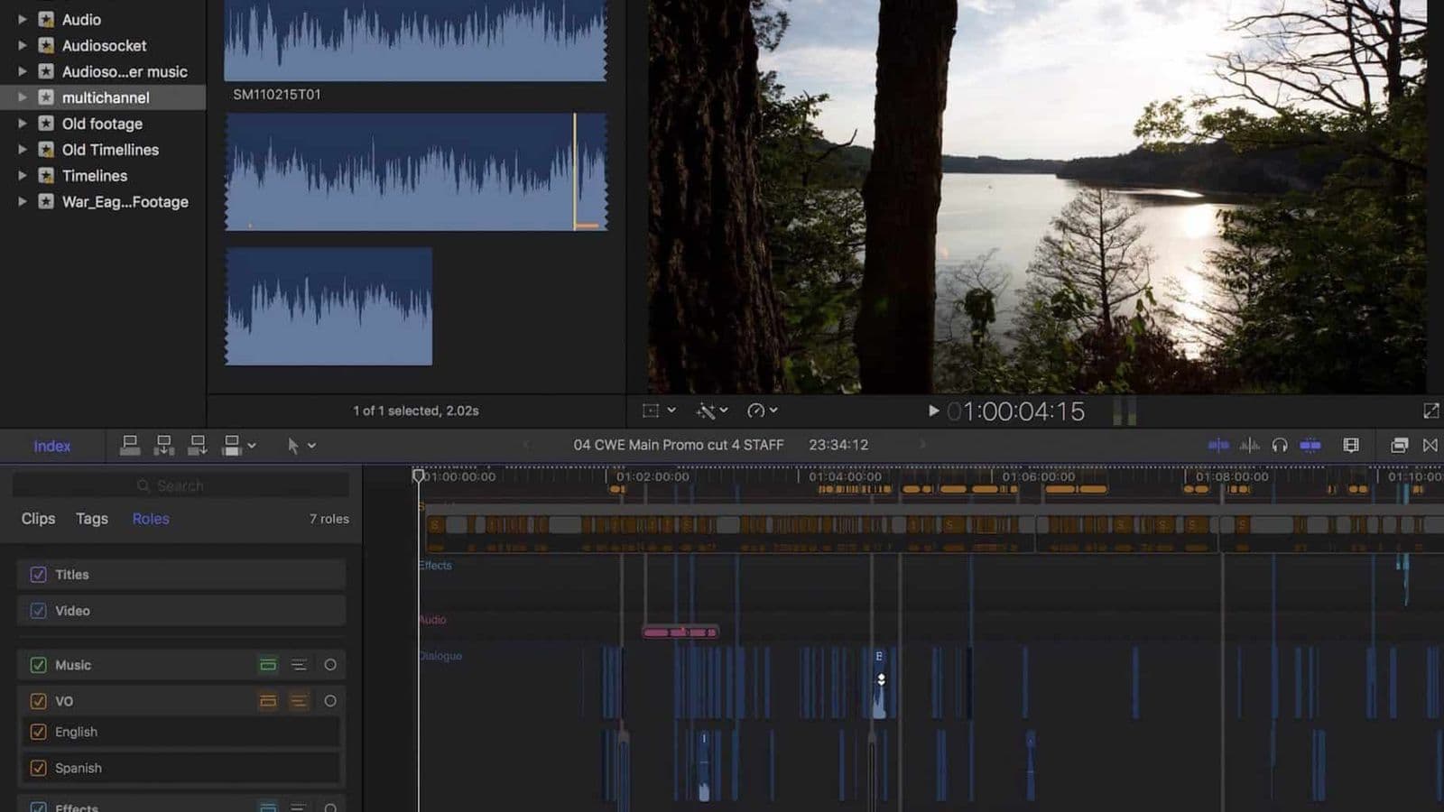 Final Cut Pro X