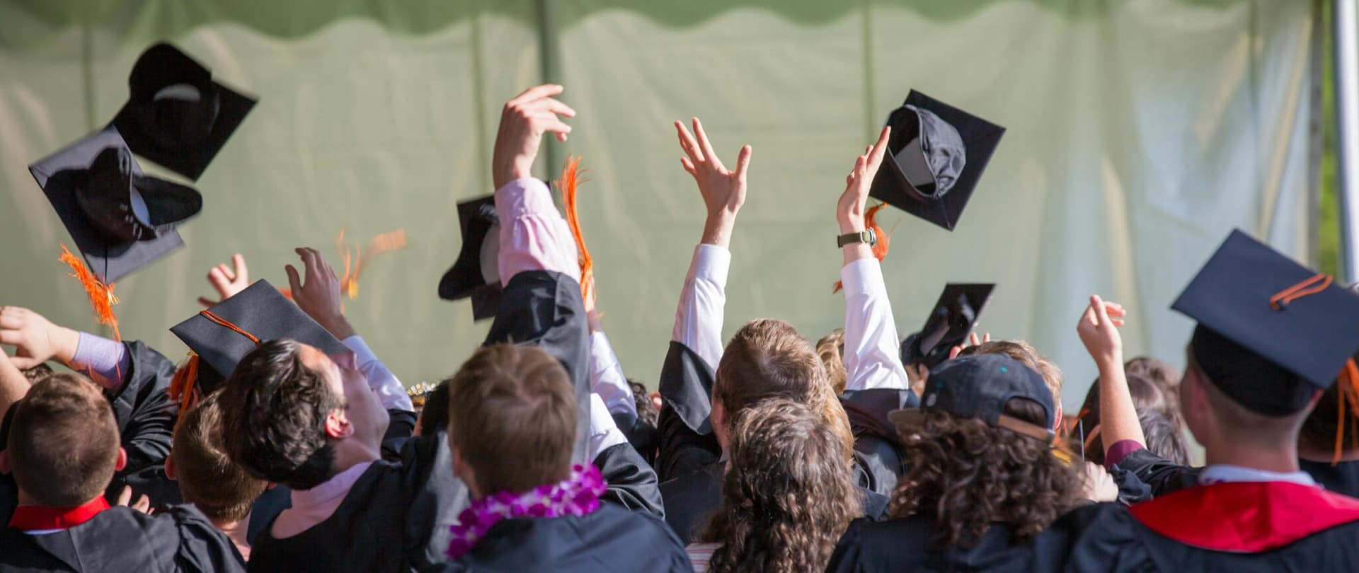 BA (Hons) Pathway | Artist Business Accelerator - Blended or Online